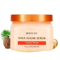 OEM vegan custom natural organic lightening exfoliating nourishing whitening Exfoliating Shea Butter Sugar Body Scrub