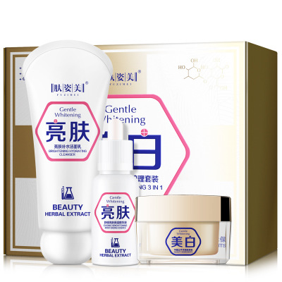 Ze Light Brightening Moisturizing Repair Wrinkle Remove Spot Whitening Vitamin Aloe Vera Korean Face Private Label Skin Care Set