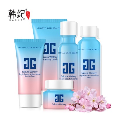 Ze Light OEM ODM Firming Moisturizing Whitening Lighthening Hyaluronic Acid Vitamin Facial Natural Organic Korean skin Care Set