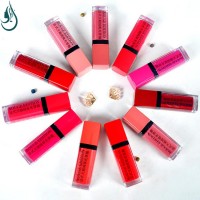 Queenbe Cosmetic  Makeup Manufacturer Bulk Wholesale liquid lipstick Waterproof Moisturizing Matte Lip Gloss OEM ODM 12 colors