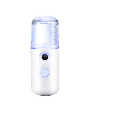 Ze Light OEM Hot Sale Portable Nano Water Supply Instrument Beauty Mist Sprayer Skin Care Spray Water Supply Instrument